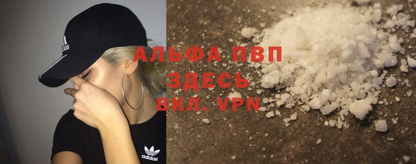 PSILOCYBIN Вяземский