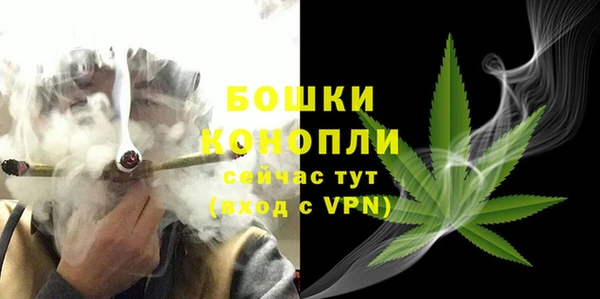 PSILOCYBIN Вяземский