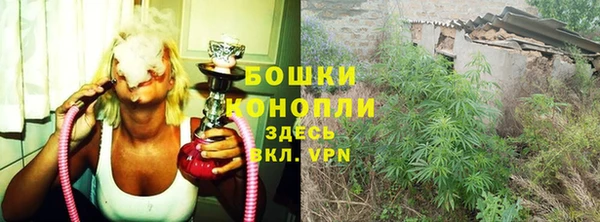 PSILOCYBIN Вяземский