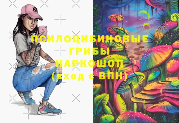 СК Вязники