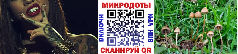 купить наркотики цена  Копейск  Псилоцибиновые грибы мухоморы 